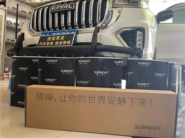 1.哈佛H9与隔音材料合影.jpg